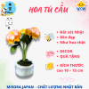 Mẫu 12