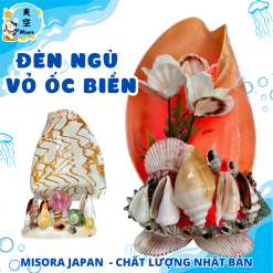 Đèn ngủ bằng vỏ ốc tự nhiên ánh sáng dịu nhẹ