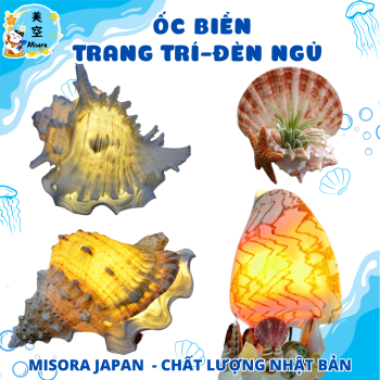Đèn ngủ trang trí biển, đèn handmade vỏ ốc, đèn decor phòng ngủ