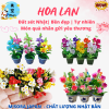 chậu hoa đất sét mini xinh xắn decor