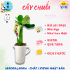 Mẫu 10