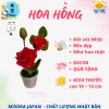Mẫu 3