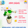 Mẫu 1