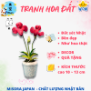Mẫu 13