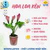 Mẫu 14