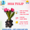 Mẫu 9
