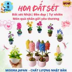 Hoa đất sét thủ công làm bằng đất sét nhật