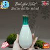 Mẫu 12