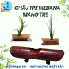 Mẫu 6