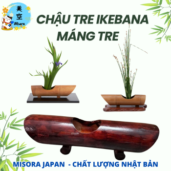 Ống trecắm hoa Ikebana, dạng máng dài, có đế