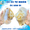 Mẫu 6