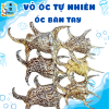 Mẫu 8