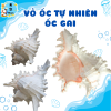 Mẫu 7