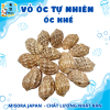 Mẫu 13