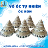 Mẫu 5