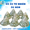 Mẫu 2