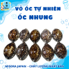 Mẫu 11