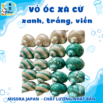 vo-oc-bien-tu-nhien-trang-tri-tieu-canh-ho-ca-decor-ban-lam-viec-oc-xa-cu
