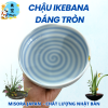 Mẫu 10