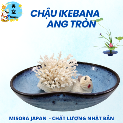 Chậu cắm hoa Ikebana dáng tròn