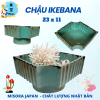 Mẫu 19