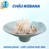 Mẫu 18