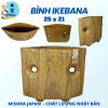 Mẫu 13