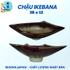 Mẫu 12