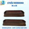 Mẫu 11