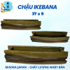 Mẫu 10