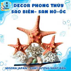 decor vintage phong cách biển cả sao biển vỏ ốc san hô