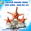 Mẫu 1